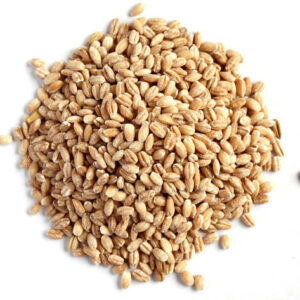 Buy Hulled Barley Wholesale