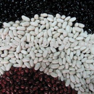 Buy Kidney Beans Wholesale