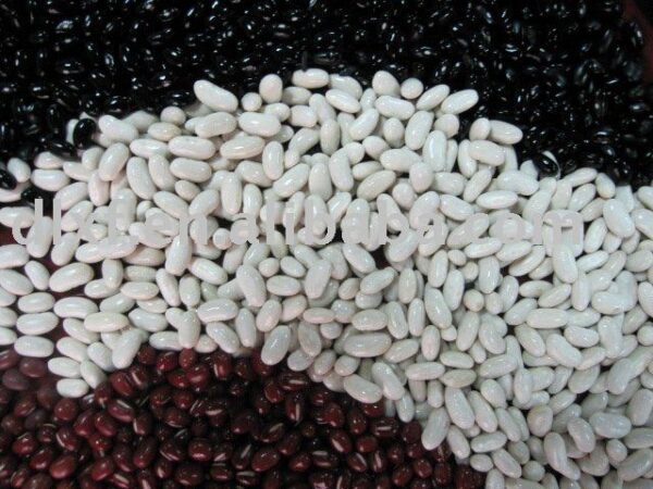 Buy Kidney Beans Wholesale