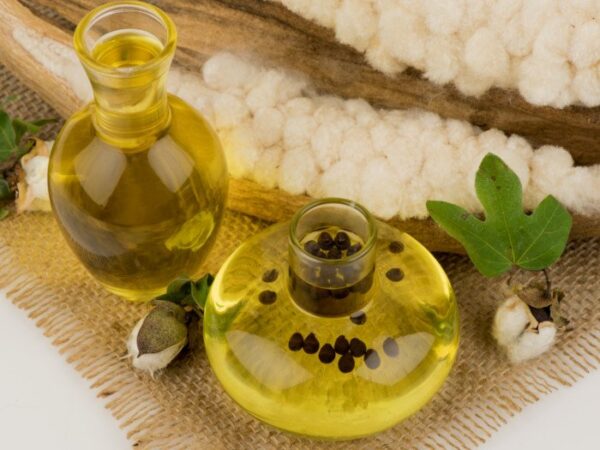 Buy Cotton Seed Oil Wholesale