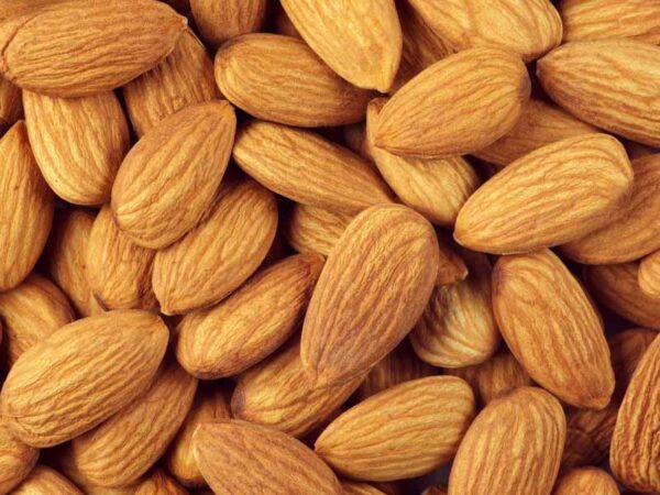 Buy Almond Nuts Wholesale