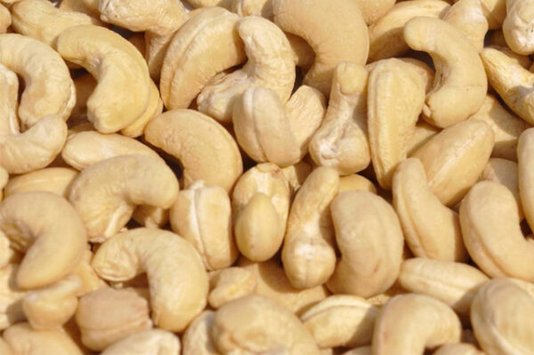 Buy Cashew Nuts Wholesale Buy Cashew Nuts Wholesale